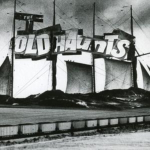 Old Haunts The - Poisonous Times i gruppen ÖVRIGT / Övrigt / aub hos Bengans Skivbutik AB (1000423)