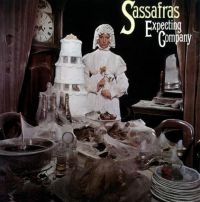 Sassafras - Expecting Company: Remastered And E i gruppen CD / Pop-Rock hos Bengans Skivbutik AB (1003310)