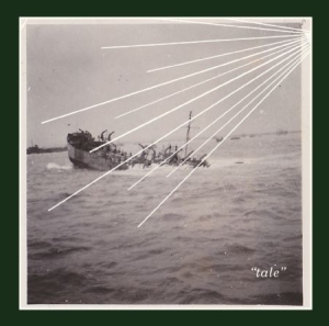 Sontag Shogun - Tale i gruppen CD / Pop hos Bengans Skivbutik AB (1003429)