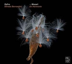 Mozart - En Harmonie i gruppen Externt_Lager / Naxoslager hos Bengans Skivbutik AB (1006234)