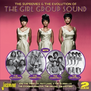 Various - Supremes & Evolution Of The Girl Group Sound i gruppen ÖVRIGT / Övrigt / aub hos Bengans Skivbutik AB (1008256)