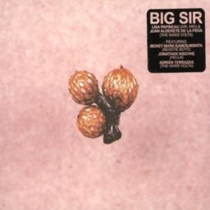 Big Sir - Und Die Scheibe Andert Sichimmer i gruppen CD / Pop-Rock hos Bengans Skivbutik AB (1011988)