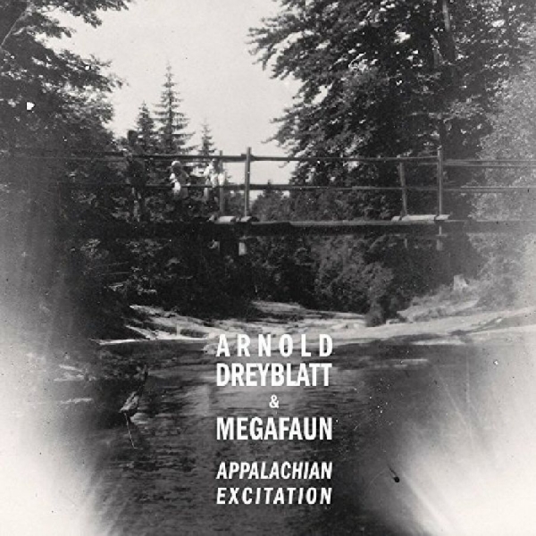 Dreyblatt Arnold & Megafaun - Appalachian Excitation i gruppen CD / Toppsäljare hos Bengans Skivbutik AB (1012062)
