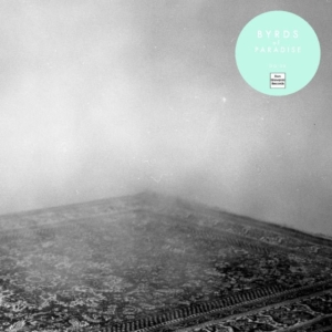 Byrds Of Paradise - Teenage Symphonies i gruppen ÖVRIGT / Övrigt / aub hos Bengans Skivbutik AB (1012477)