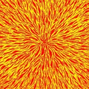 Cars & Trains - We Are All Fire i gruppen VINYL / Pop-Rock hos Bengans Skivbutik AB (1012516)