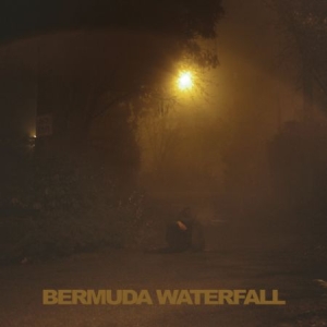 Savage Sean Nicholas - Bermuda Waterfall i gruppen CD / Pop hos Bengans Skivbutik AB (1014266)