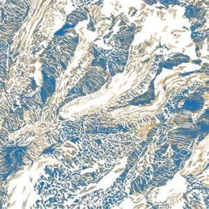 Colleagues - Tears Ep i gruppen VINYL / Pop hos Bengans Skivbutik AB (1015591)