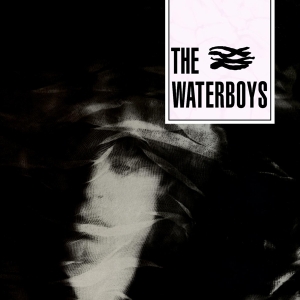 Waterboys - Waterboys i gruppen Minishops / Waterboys hos Bengans Skivbutik AB (1020032)