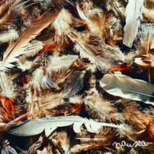 Moodie Black - Nausea i gruppen CD / Hip Hop-Rap hos Bengans Skivbutik AB (1020601)