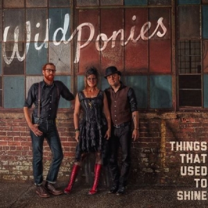 Wild Ponies - Things That Used To Shine i gruppen CD / Pop-Rock hos Bengans Skivbutik AB (1023740)