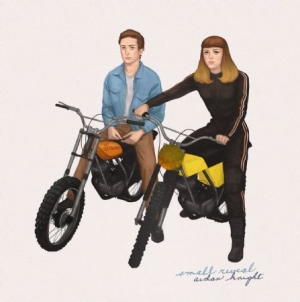 Knight Aidan - Small Reveal i gruppen CD / Pop-Rock hos Bengans Skivbutik AB (1026206)