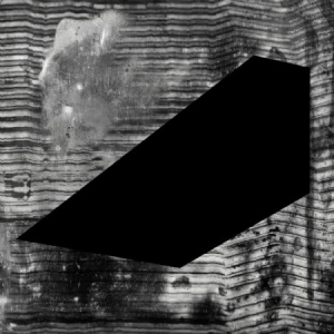 D Tiberio - 304 i gruppen VINYL / Pop hos Bengans Skivbutik AB (1026268)