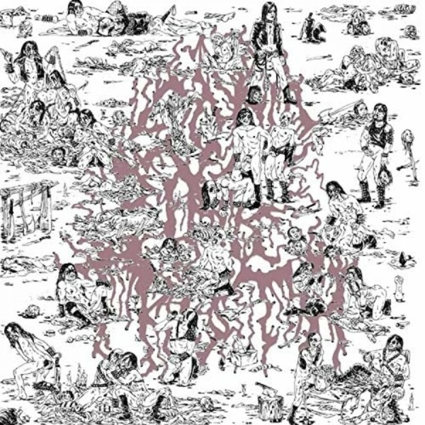 Soft Pink Truth The - Why Do The Heathen Rage? i gruppen VINYL / Toppsäljare hos Bengans Skivbutik AB (1029352)