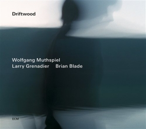 Wolfgang Muthspiel/Larry Grenadier/ - Driftwood i gruppen CD / Jazz hos Bengans Skivbutik AB (1030638)