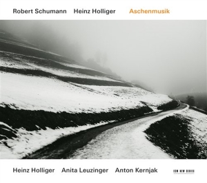 Holliger Leuzinger Kernjak - Aschenmusik i gruppen Externt_Lager / Naxoslager hos Bengans Skivbutik AB (1030639)