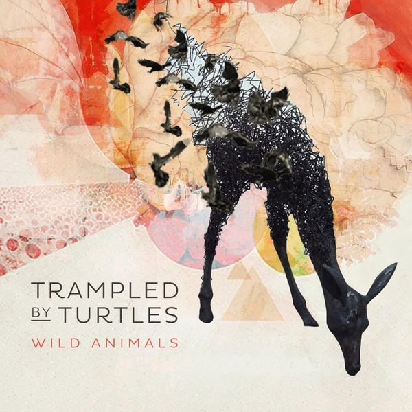 Trampled By Turtles - Wild Animals i gruppen CD / Rock hos Bengans Skivbutik AB (1032211)