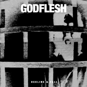Godflesh - Decline & Fall i gruppen CD / Rock hos Bengans Skivbutik AB (1044881)