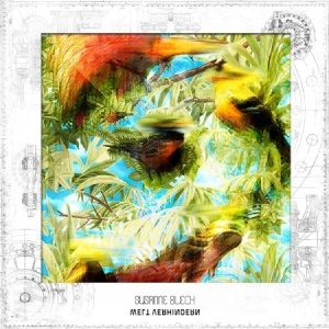 Blech Susanne - Welt Verhindern i gruppen CD / Pop hos Bengans Skivbutik AB (1044905)