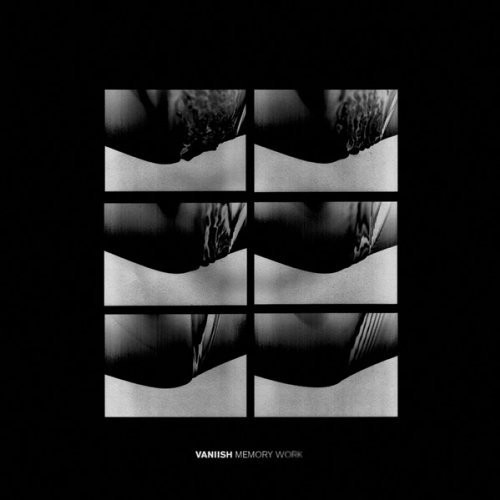 Vaniish - Memory Work i gruppen ÖVRIGT / Övrigt / aub hos Bengans Skivbutik AB (1049825)