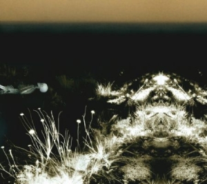 Faber Michel & Andrew Liles - Ohrwurm i gruppen CD / Pop hos Bengans Skivbutik AB (1053018)