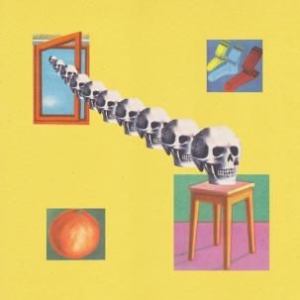 Skygreen Leopards - Family Crimes i gruppen CD / Pop hos Bengans Skivbutik AB (1053100)