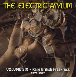 Blandade Artister - Electric Asylum Vol. 6: Rare Britis i gruppen CD / Rock hos Bengans Skivbutik AB (1054486)