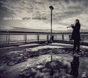 Weiss David - When Words Fail i gruppen CD / Jazz/Blues hos Bengans Skivbutik AB (1088423)
