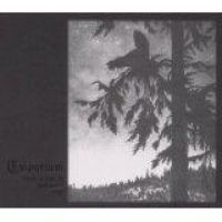 Empyrium - Where At Night The Wood Grouse Play i gruppen CD / Pop hos Bengans Skivbutik AB (1093203)