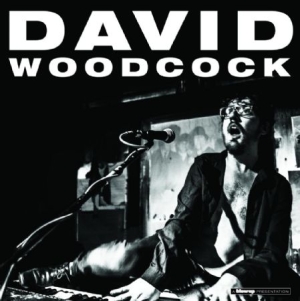 Woodcock David - David Woodcock i gruppen CD / Reggae hos Bengans Skivbutik AB (1098926)