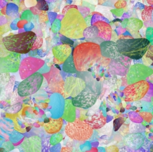 Grumbling Fur - Preternaturals i gruppen CD / Pop-Rock hos Bengans Skivbutik AB (1099022)