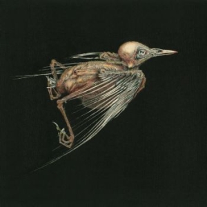 Hval Jenny & Susanna - Meshes Of Voice i gruppen CD / Norsk Musik,Pop-Rock hos Bengans Skivbutik AB (1100064)