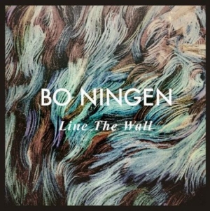 Bo Ningen - Line the wall i gruppen VINYL / Pop hos Bengans Skivbutik AB (1102285)