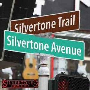 Silvertones - Silvertone Avenue i gruppen CD / Jazz/Blues hos Bengans Skivbutik AB (1105327)