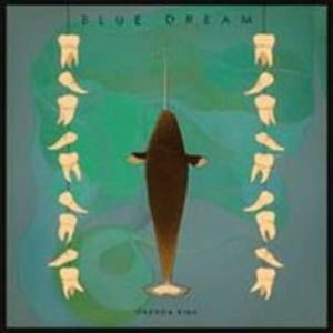 Fink Orenda - Blue Dream i gruppen CD / Pop hos Bengans Skivbutik AB (1105411)