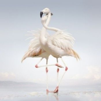 Rustie - Green Language i gruppen VINYL / Toppsäljare hos Bengans Skivbutik AB (1105686)
