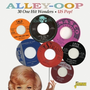 Various Artists - Alley-Oop - 30 One Hit Wonders Us P i gruppen CD / Pop hos Bengans Skivbutik AB (1111477)