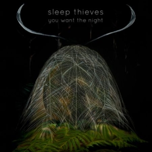 Sleep Thieves - You Want The Night i gruppen VINYL / Pop-Rock hos Bengans Skivbutik AB (1117890)