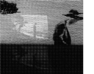 Foxx  John & Steve D'agostino - Evidence Of Time Travel i gruppen CD / Pop-Rock hos Bengans Skivbutik AB (1125492)