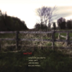 Wadada Leo Smith Jamie Saft Joe M - Red Hill (180 G) i gruppen VINYL / Pop hos Bengans Skivbutik AB (1125540)