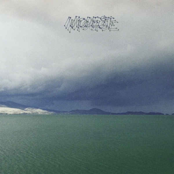 Modest Mouse - Fruit That Ate Itself i gruppen VINYL / Rock hos Bengans Skivbutik AB (1127930)