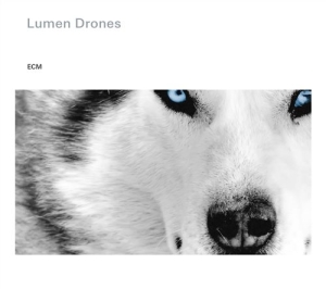 Nils Økland / Per Steinar Lie / Ørj - Lumen Drones i gruppen CD / Jazz hos Bengans Skivbutik AB (1131053)