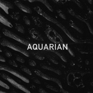 Aquarian - Aquarian Ep i gruppen VINYL / Pop-Rock hos Bengans Skivbutik AB (1131339)