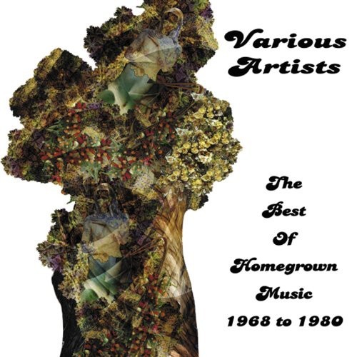Blandade Artister - Best Of Homegrown Music 1968-1980 i gruppen CD / Rock hos Bengans Skivbutik AB (1131387)