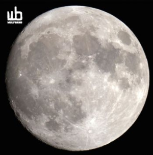 Wulfband - Wulfband i gruppen Labels / Progress Productions hos Bengans Skivbutik AB (1133483)