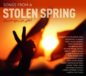 Blandade Artister - Songs From A Stolen Spring i gruppen CD / Elektroniskt hos Bengans Skivbutik AB (1134493)