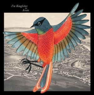 I'm Kingfisher - Avian - Red Vinyl i gruppen VINYL / Pop-Rock hos Bengans Skivbutik AB (1135387)