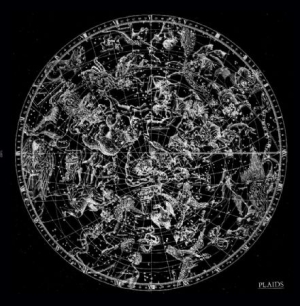 Plaids - Plaids i gruppen VINYL / Pop hos Bengans Skivbutik AB (1136721)