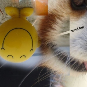 Mind Fair - Mind Fair i gruppen CD / Rock hos Bengans Skivbutik AB (1136756)