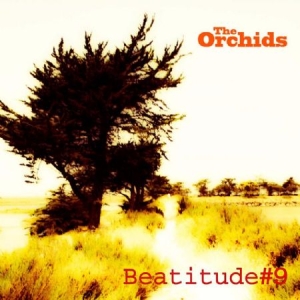 Orchids - Beatitude # 9 i gruppen CD / Pop hos Bengans Skivbutik AB (1136905)