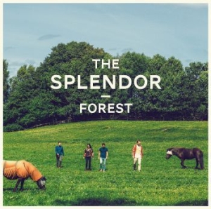 Splendor - Forest i gruppen VINYL / Jazz hos Bengans Skivbutik AB (1142506)